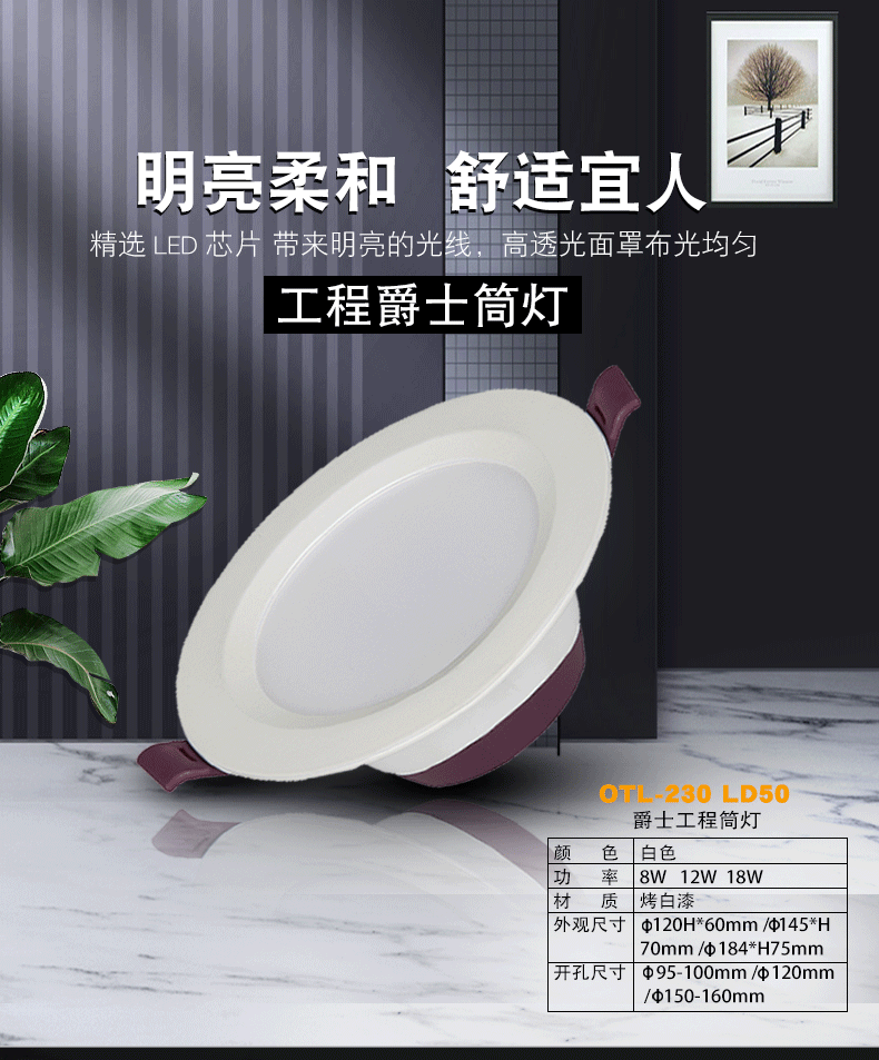 小户型客厅可以不装水蜜桃人与兽黄色网站吗？