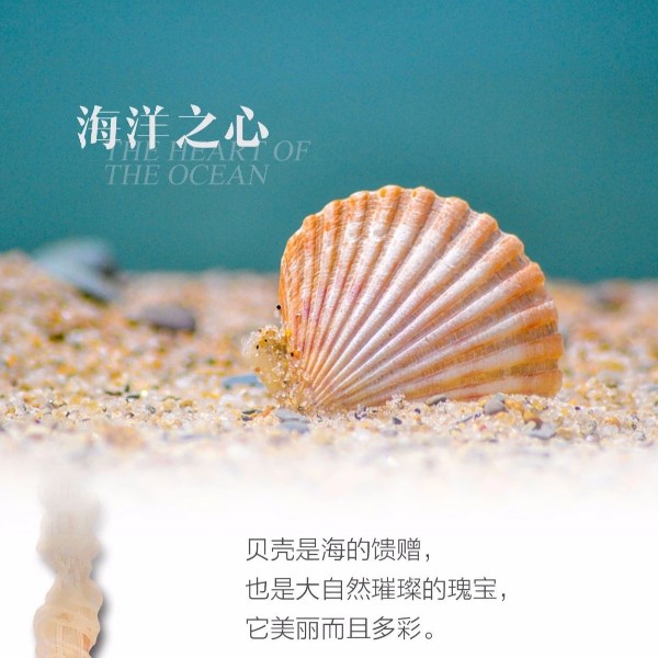 OTL照明招商加盟,家居灯批发厂家,中山灯具品牌厂家，led照明灯具厂家